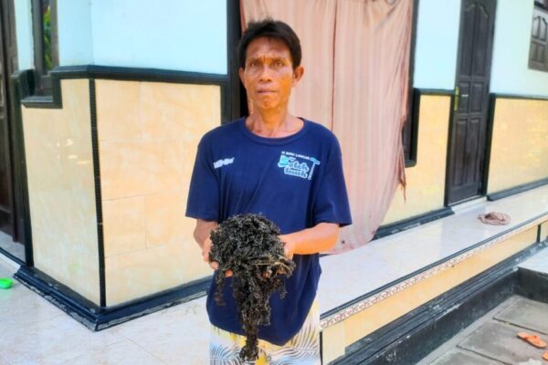 Larangan Desa Adat Perancak Membuat Nelayan Pencari Rumput Laut Resah