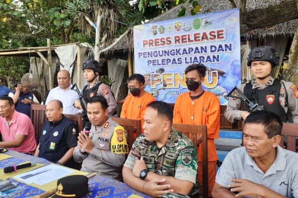 Tersangka Penyelundup 12 Penyu Hijau Diciduk Polres Jembrana, 2 Pelaku Buron