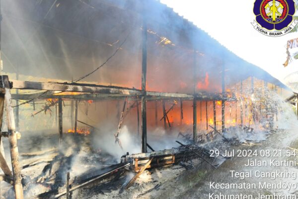 Rugi 1,4 Milyar, Kandang Ayam Terbakar di Jembrana