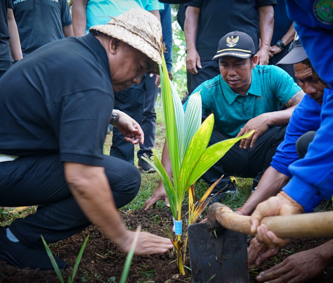 Komoditi Pertanian di Jembrana, Tamba : Kelapa dan Kakao Jadi Unggulan