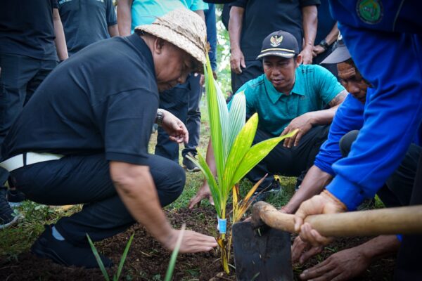 Komoditi Pertanian di Jembrana, Tamba : Kelapa dan Kakao Jadi Unggulan