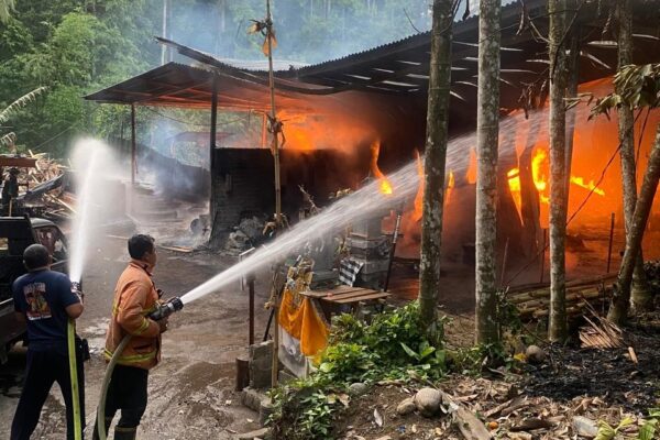 Kebakaran Hebat Melanda Pabrik CV. Bali Tedung Nusa Island di Yeh Sumbul, Kerugian Mencapai 3 Miliar Rupiah