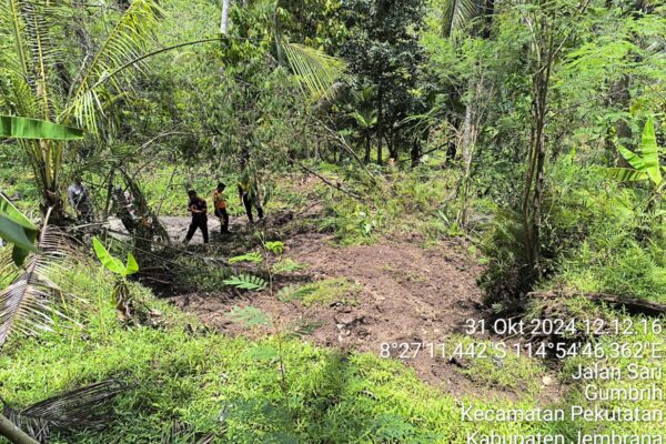 Tanah Longsor Timbun Jalan Desa di Jembrana, BPBD Lakukan Penanganan Cepat