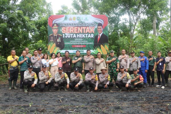 Dukung Program Nasional, Forkopimda Jembrana Tanam Jagung