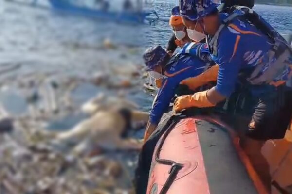 Mayat Mengambang di Gilimanuk Ternyata I Komang Sumo, Hilang Terseret Arus Dua Pekan Lalu