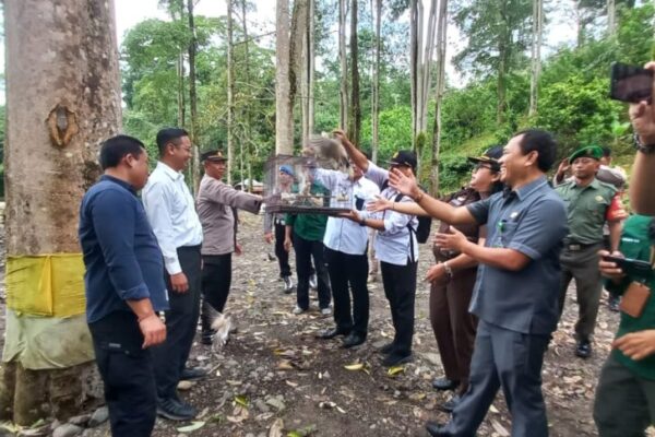 Puluhan burung Sitaan Di Bebas Liarkan.