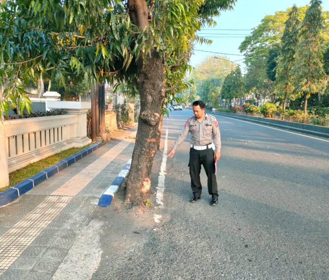 Tragis! Tabrak Lari, Pemotor Tewas di Jembrana