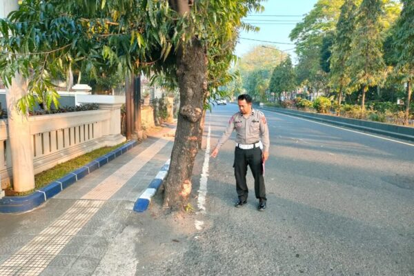 Tragis! Tabrak Lari, Pemotor Tewas di Jembrana