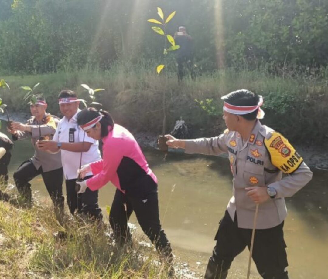 Polres Jembrana Tanam 4450 Bibit Pohon Mangrove dalam Aksi Penghijauan