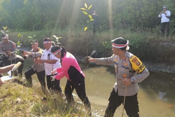 Polres Jembrana Tanam 4450 Bibit Pohon Mangrove dalam Aksi Penghijauan