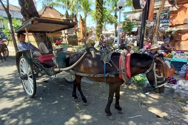 Pendapatan Kusir Dokar Menurun, Pasca Relokasi Pedagang PUN