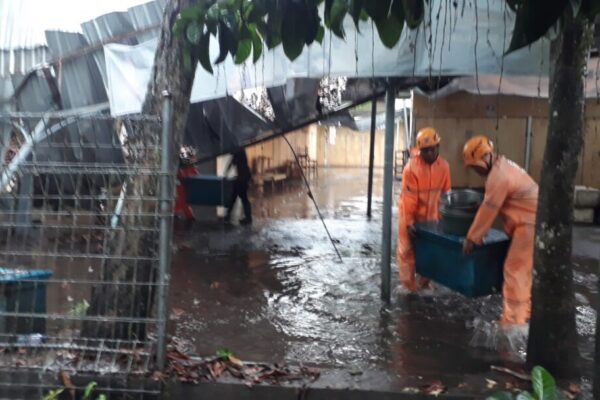 Akibat Cuaca Buruk, Rumah Warga dan Relokasi Pasar Umum Negara Ambruk di Jembrana