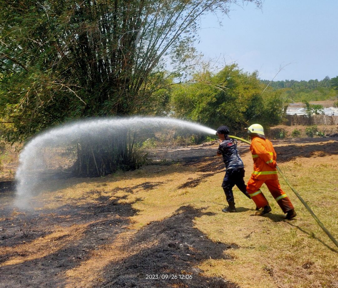 Musim Kemarau, 2 Hektar Lahan Gambut Terbakar di Desa Perancak