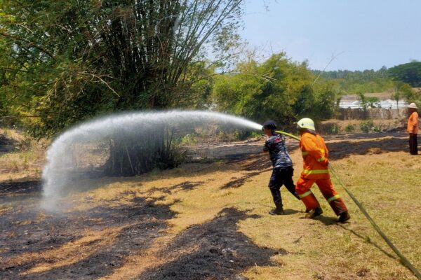 Musim Kemarau, 2 Hektar Lahan Gambut Terbakar di Desa Perancak